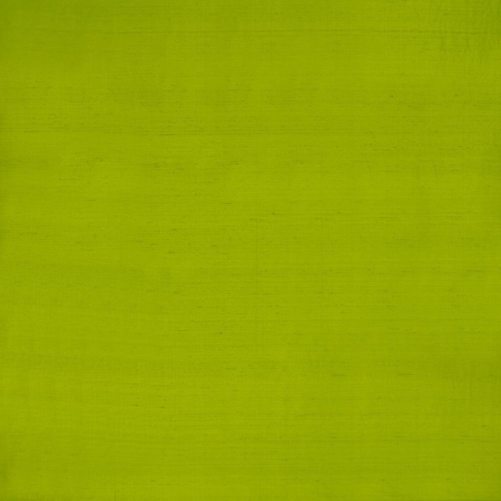 Slyph - Lime Green By Clarke And Clarke | Wilderie By Emma J Shipley For C&C |Solid  Drapery Silk