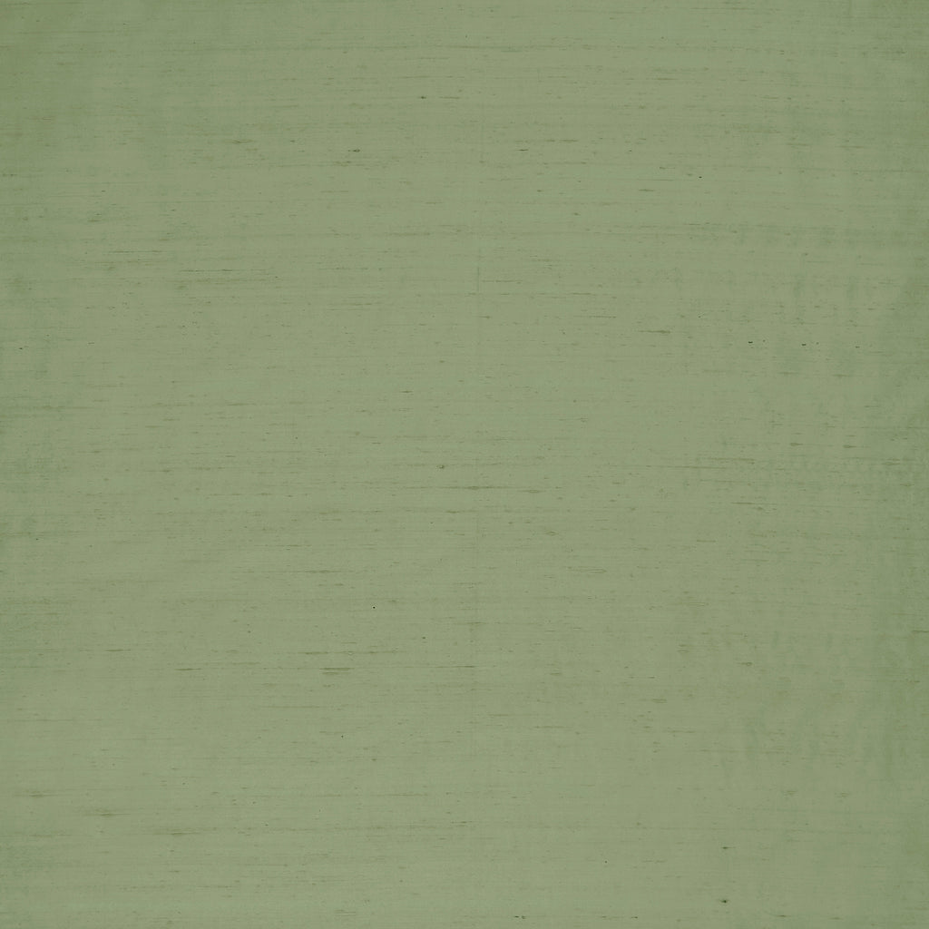 Slyph - Pistachio Green By Clarke And Clarke | Wilderie By Emma J Shipley For C&C |Solid  Drapery Silk