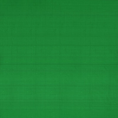 Slyph - Fern Green By Clarke And Clarke | Wilderie By Emma J Shipley For C&C |Solid  Drapery Silk