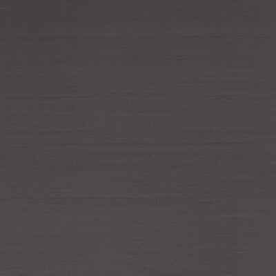 Slyph - Metal Grey By Clarke And Clarke | Wilderie By Emma J Shipley For C&C |Solid  Drapery Silk