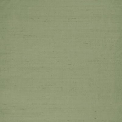 Slyph - Pistachio Green By Clarke And Clarke | Wilderie By Emma J Shipley For C&C |Solid  Drapery Silk