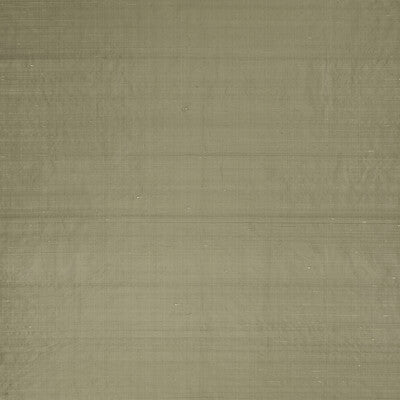 Slyph - Tan Brown By Clarke And Clarke | Wilderie By Emma J Shipley For C&C |Solid  Drapery Silk