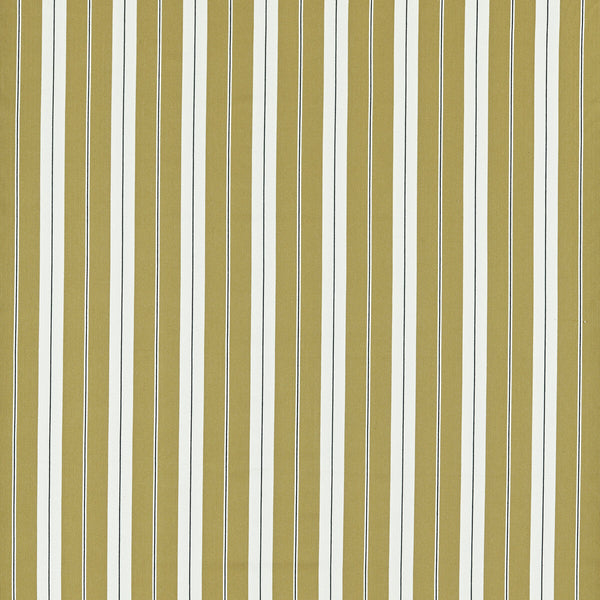 Belgravia - Ochre/Charcoal Yellow By Clarke And Clarke | Clarke & Clarke Edgeworth |Stripes  Upholstery