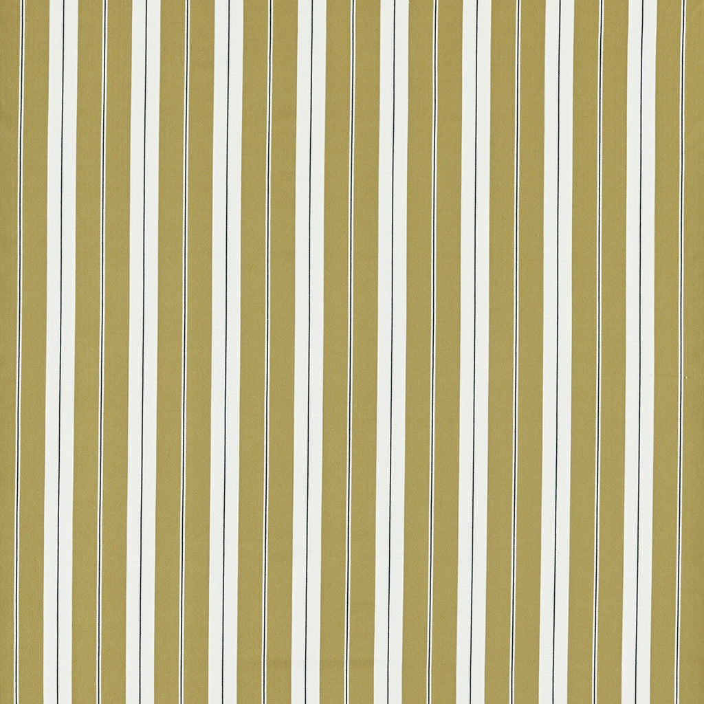Samples and Purchasing available for Belgravia - Ochre/Charcoal Yellow By Clarke And Clarke | Clarke & Clarke Edgeworth |Stripes  Upholstery  at Designer Wallcoverings and Fabrics