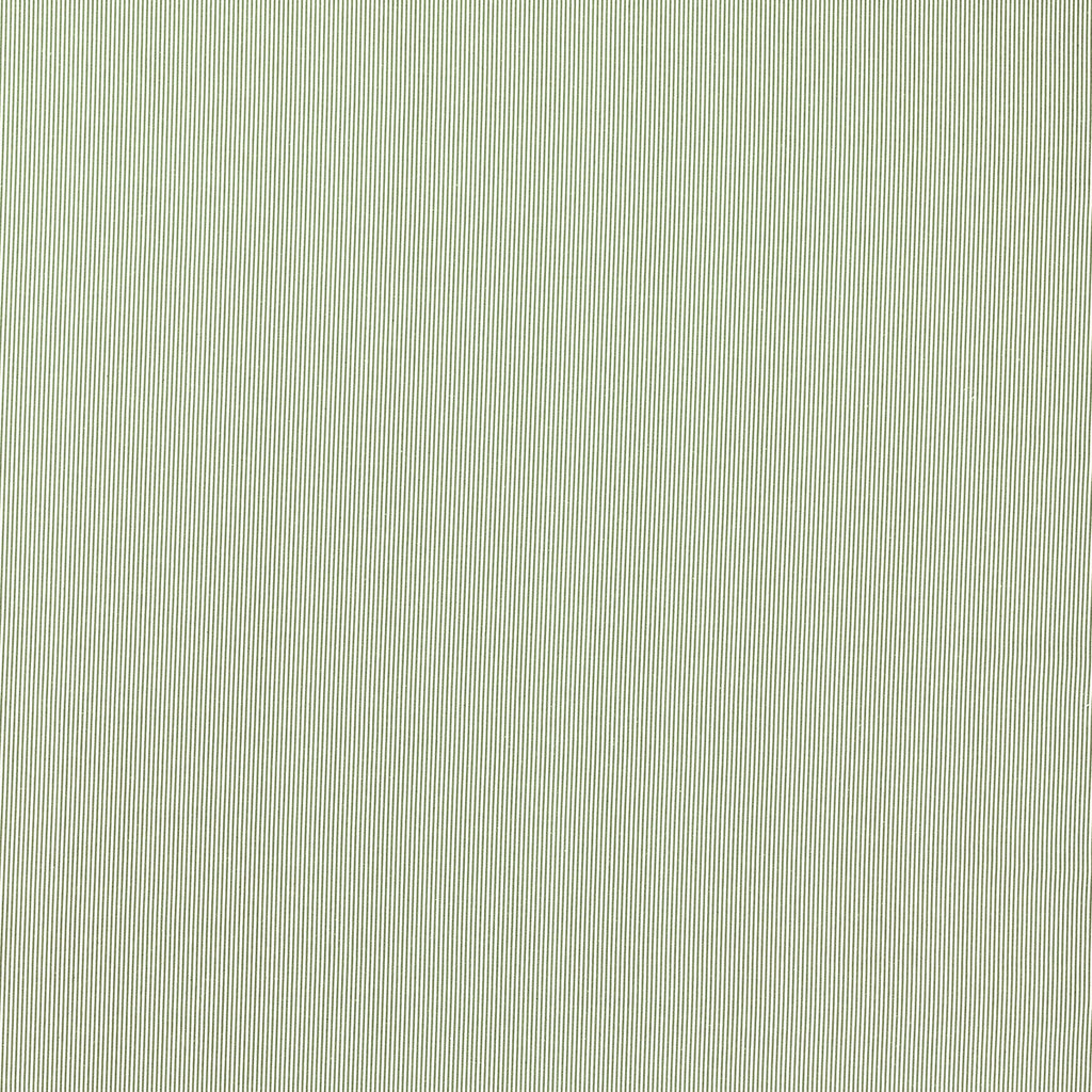 Samples and Purchasing available for Breton - Sage Green By Clarke And Clarke | Clarke & Clarke Edgeworth |Stripes  Upholstery  at Designer Wallcoverings and Fabrics