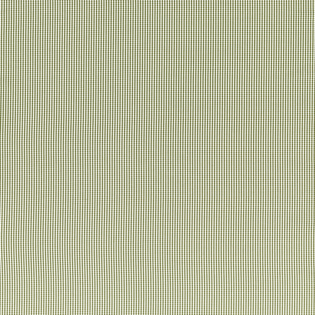 Samples and Purchasing available for Windsor - Sage Sage By Clarke And Clarke | Clarke & Clarke Edgeworth | Plaid / Check Upholstery  at Designer Wallcoverings and Fabrics