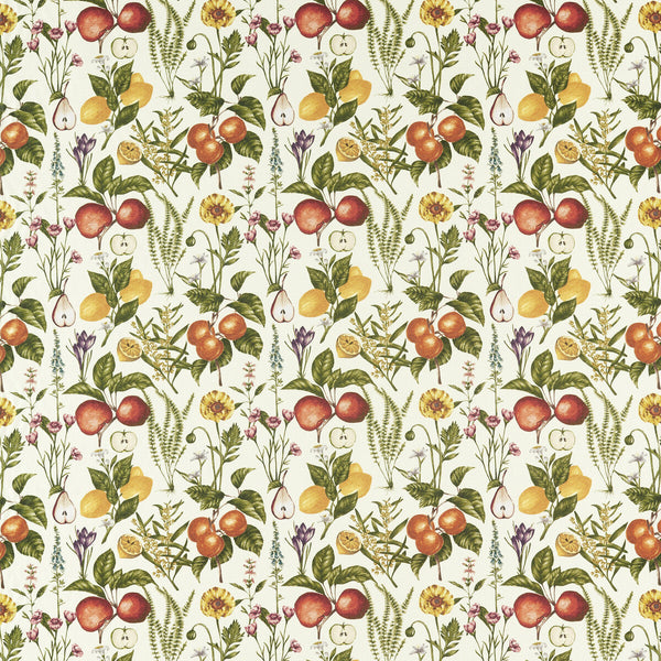 Sorento - Autumn Multi By Clarke And Clarke | Clarke & Clarke Pomarium |Botanical & Floral  Multipurpose