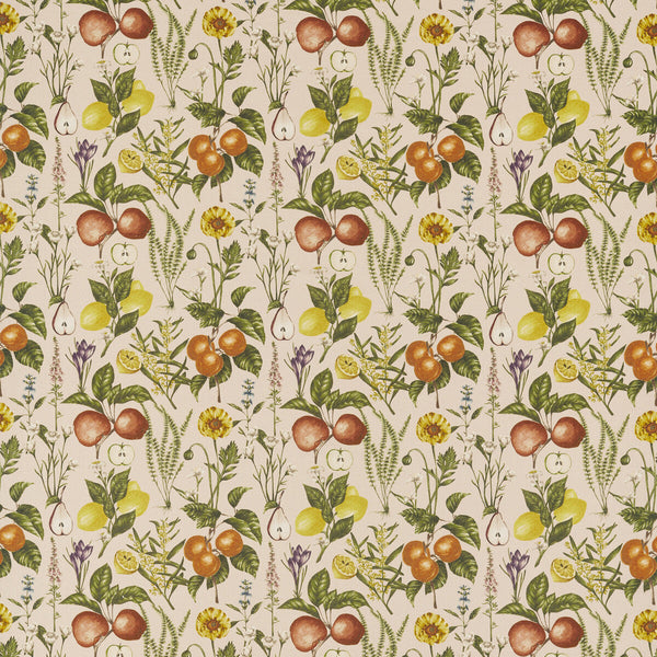 Sorento - Blush Multi By Clarke And Clarke | Clarke & Clarke Pomarium |Botanical & Floral  Multipurpose