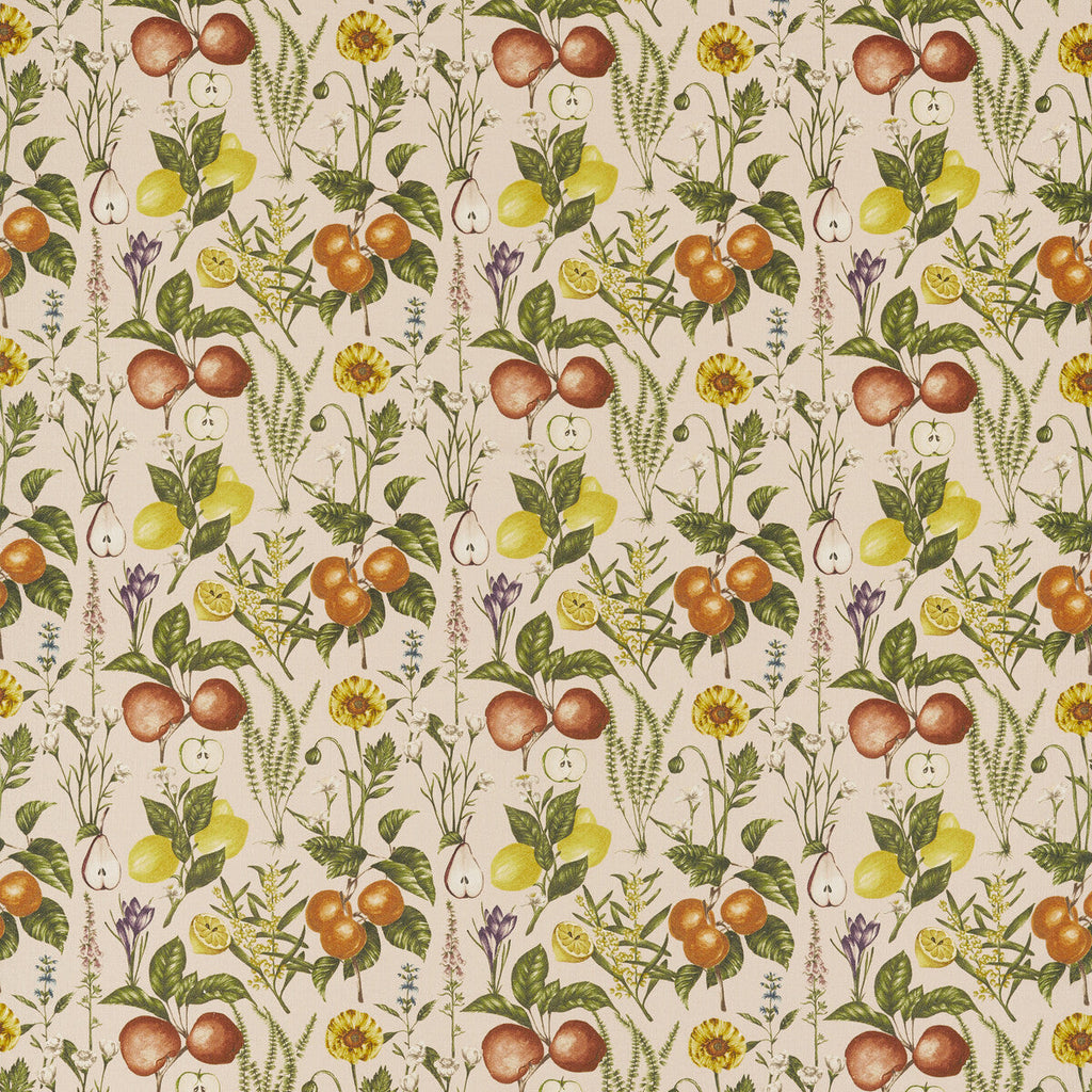 Samples and Purchasing available for Sorento - Blush Multi By Clarke And Clarke | Clarke & Clarke Pomarium |Botanical & Floral  Multipurpose  at Designer Wallcoverings and Fabrics