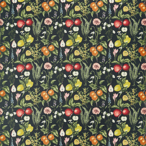 Sorento - Ebony Velvet Black By Clarke And Clarke | Clarke & Clarke Pomarium |Botanical & Floral  Multipurpose Print