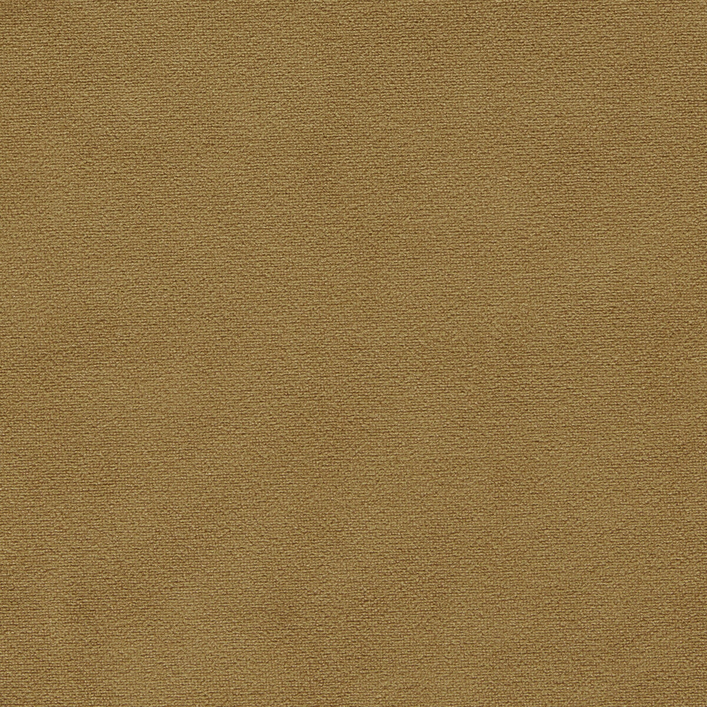 Samples and Purchasing available for Miami - Gold Gold By Clarke And Clarke | Clarke & Clarke Miami | Solid Drapery Velvet at Designer Wallcoverings and Fabrics