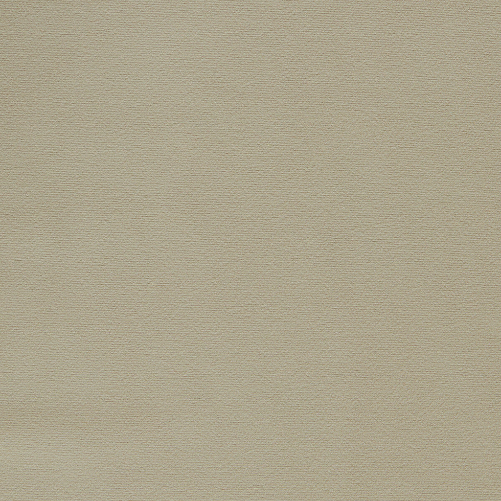 Samples and Purchasing available for Miami - Taupe Beige By Clarke And Clarke | Clarke & Clarke Miami | Solid Drapery Velvet at Designer Wallcoverings and Fabrics