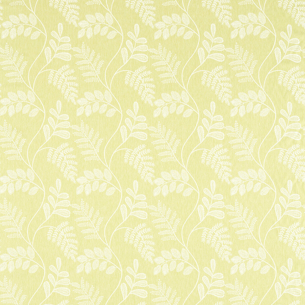 Samples and Purchasing available for Audette - Citron Chartreuse By Clarke And Clarke | Clarke & Clarke Pavilion | Botanical & Floral Upholstery  at Designer Wallcoverings and Fabrics