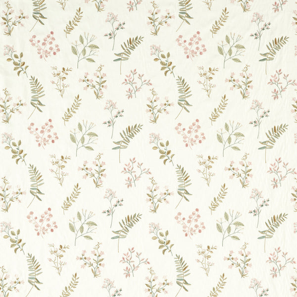 Brigitte - Blush Pink By Clarke And Clarke | Clarke & Clarke Pavilion |Botanical & Floral Texture Drapery Embroidery