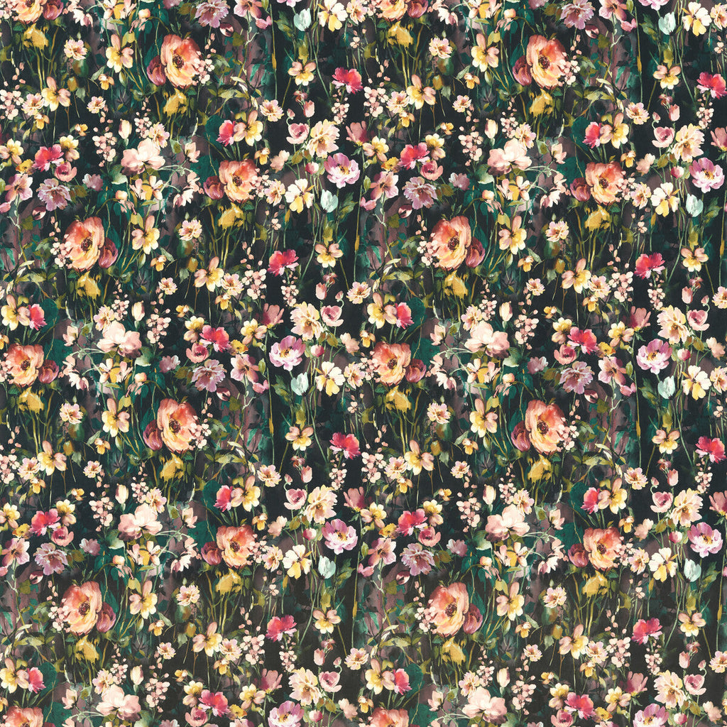 Samples and Purchasing available for Wild Meadow - Noir Velvet Multi By Clarke And Clarke | Floral Flourish By Studio G For C&C |Botanical & Floral  Multipurpose Velvet at Designer Wallcoverings and Fabrics