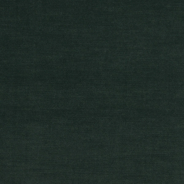 Riva - Forest Green By Clarke And Clarke | Clarke & Clarke Riva |Solid Texture Upholstery Velvet