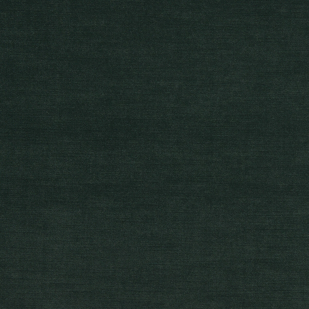 Samples and Purchasing available for Riva - Forest Green By Clarke And Clarke | Clarke & Clarke Riva |Solid Texture Upholstery Velvet at Designer Wallcoverings and Fabrics