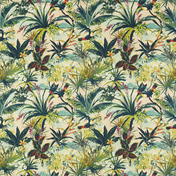 Toucan - Blush Multi By Clarke And Clarke | Clarke & Clarke Exotica 2 |Animal/Insects Botanical & Floral Multipurpose Print