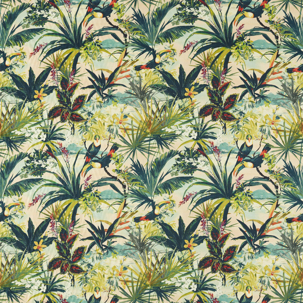 Samples and Purchasing available for Toucan - Blush Multi By Clarke And Clarke | Clarke & Clarke Exotica 2 |Animal/Insects Botanical & Floral Multipurpose Print at Designer Wallcoverings and Fabrics
