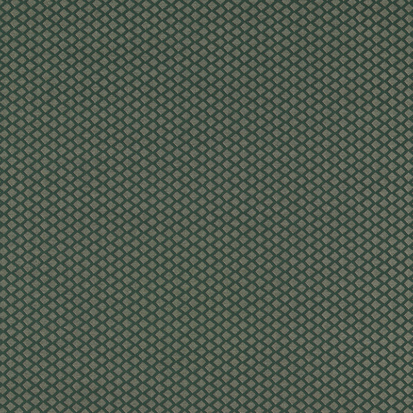 Equator - Forest Green By Clarke And Clarke | Clarke And Clarke Equinox 2 | Diamond Upholstery Chenille
