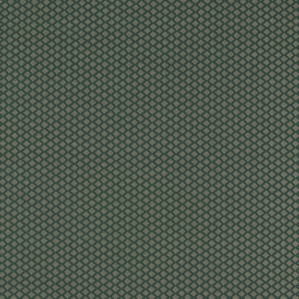 Samples and Purchasing available for Equator - Forest Green By Clarke And Clarke | Clarke And Clarke Equinox 2 | Diamond Upholstery Chenille at Designer Wallcoverings and Fabrics