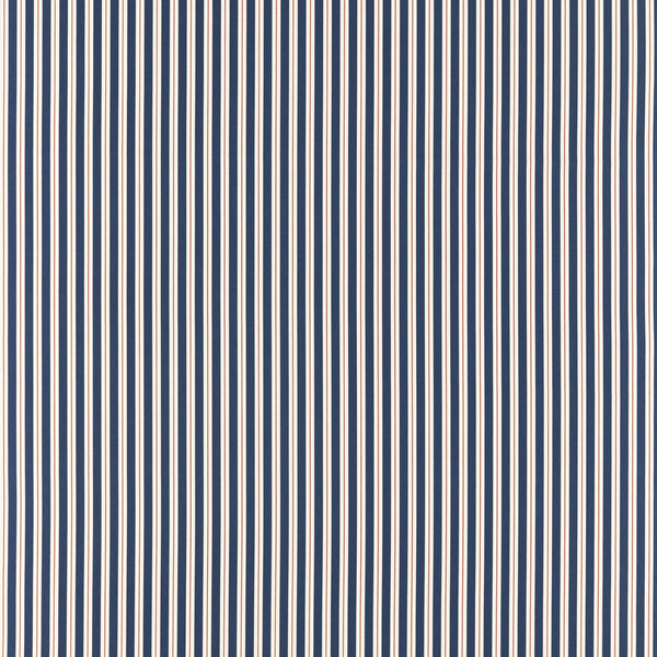 Carousel - Coral/Navy Blue By Clarke And Clarke | Formations By Studio G For C&C | Stripes Multipurpose Print