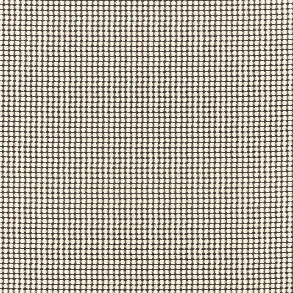 Samples and Purchasing available for Olympia - Charcoal Grey By Clarke And Clarke | Formations By Studio G For C&C | Dots Multipurpose Print at Designer Wallcoverings and Fabrics
