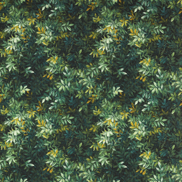 Congo - Outdoor Green By Clarke And Clarke | Clarke & Clarke Alfresco |Botanical & Floral Tropical Multipurpose Indoor / Outdoor