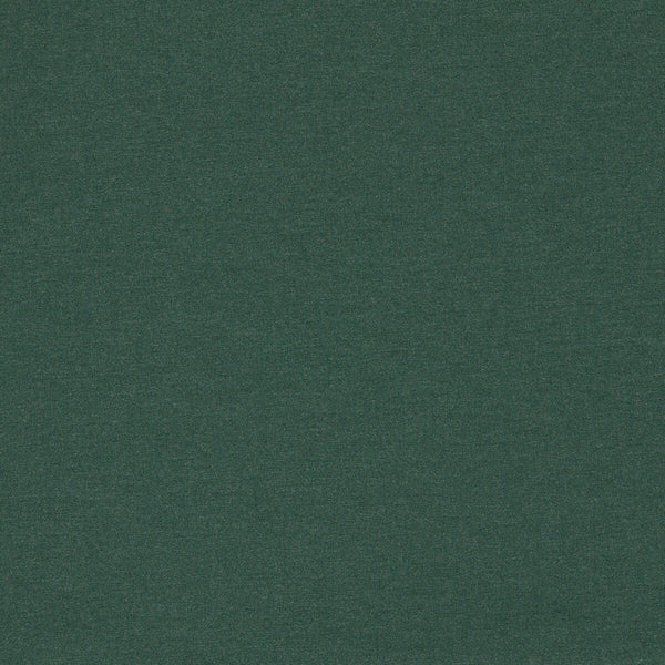Lugo - Forest Green By Clarke And Clarke | Clarke & Clarke Alfresco |Solid  Multipurpose Indoor / Outdoor