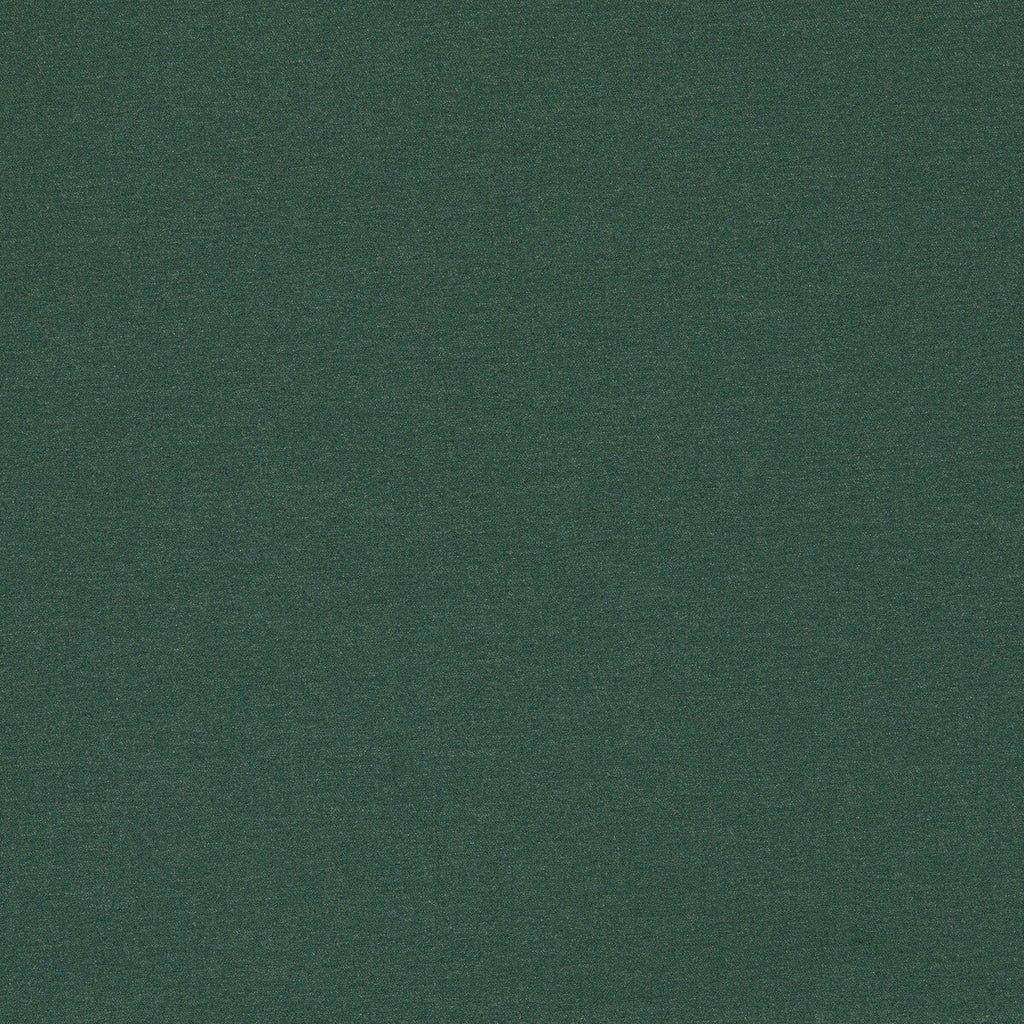 Samples and Purchasing available for Lugo - Forest Green By Clarke And Clarke | Clarke & Clarke Alfresco |Solid  Multipurpose Indoor / Outdoor at Designer Wallcoverings and Fabrics