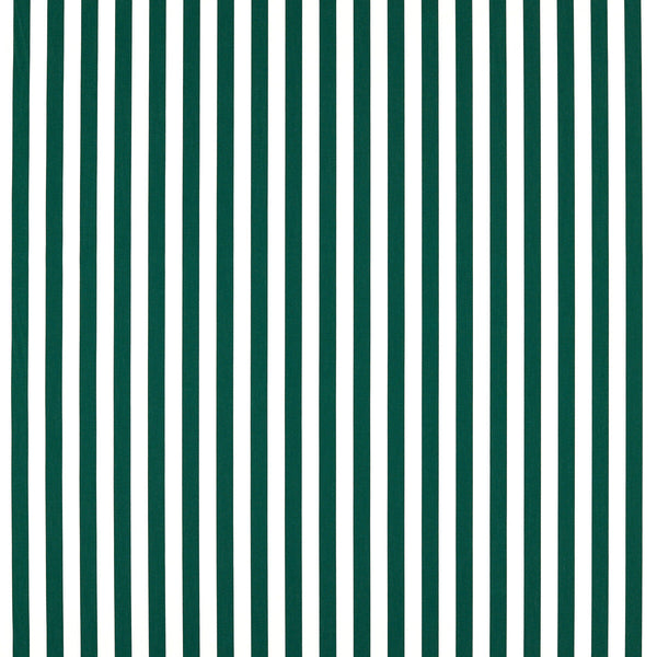 Sicily - Forest White By Clarke And Clarke | Clarke & Clarke Alfresco |Stripes  Multipurpose Indoor / Outdoor