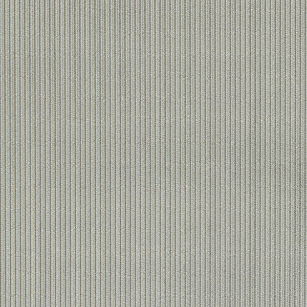 Ashdown - Graphite Grey By Clarke And Clarke | Clarke & Clarke Whitworth |Stripes Texture Upholstery Velvet