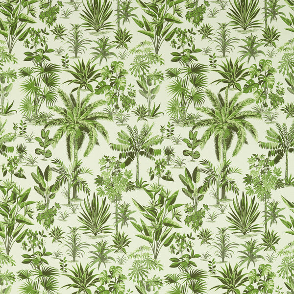Malindi - Palm Green By Clarke And Clarke | Clarke & Clarke Breegan Jane | Botanical & Floral Drapery