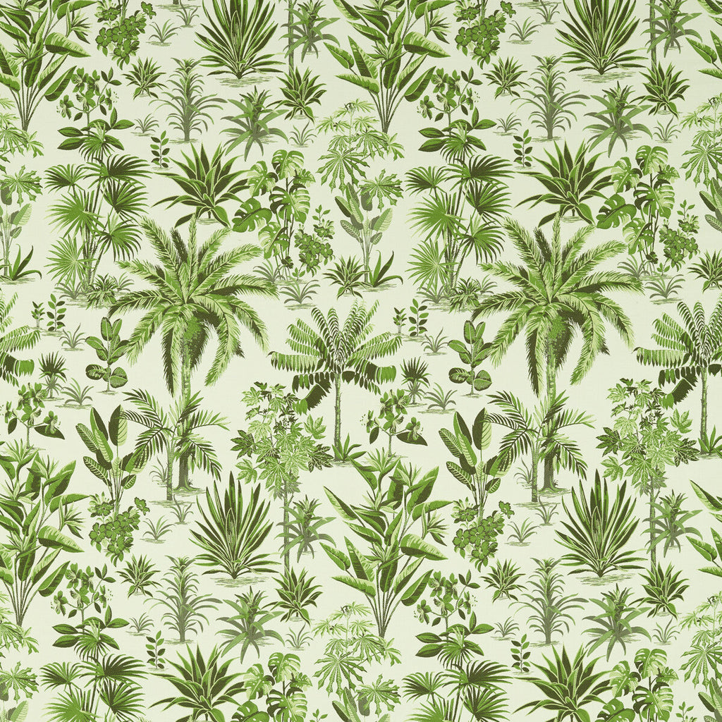 Samples and Purchasing available for Malindi - Palm Green By Clarke And Clarke | Clarke & Clarke Breegan Jane | Botanical & Floral Drapery  at Designer Wallcoverings and Fabrics
