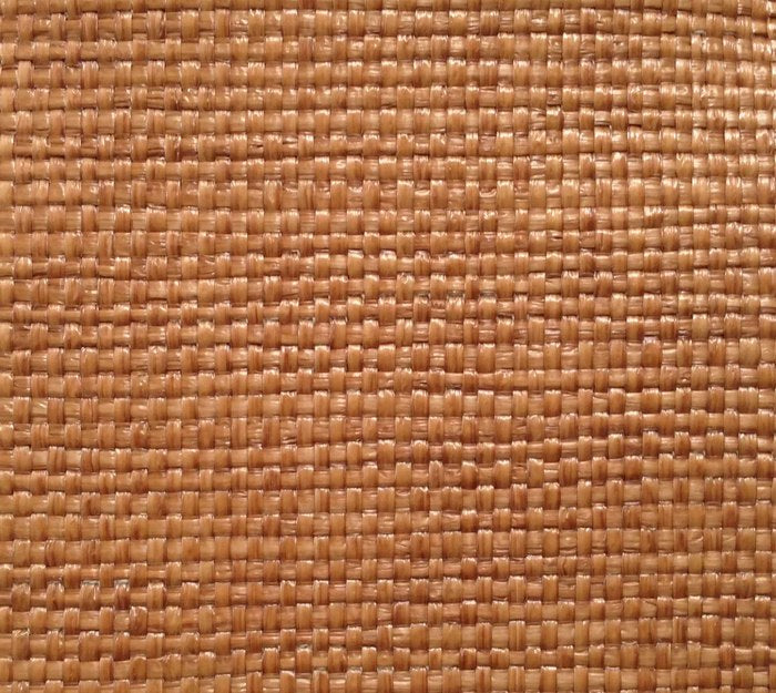 Fiesta - Guava Wallcovering | Phillipe Romano