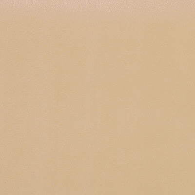 Samples and Purchasing available for Kravet Design - Fawn-16 Beige By Kravet Design |  |Solid Texture Upholstery Vinyl/Faux Leather at Designer Wallcoverings and Fabrics