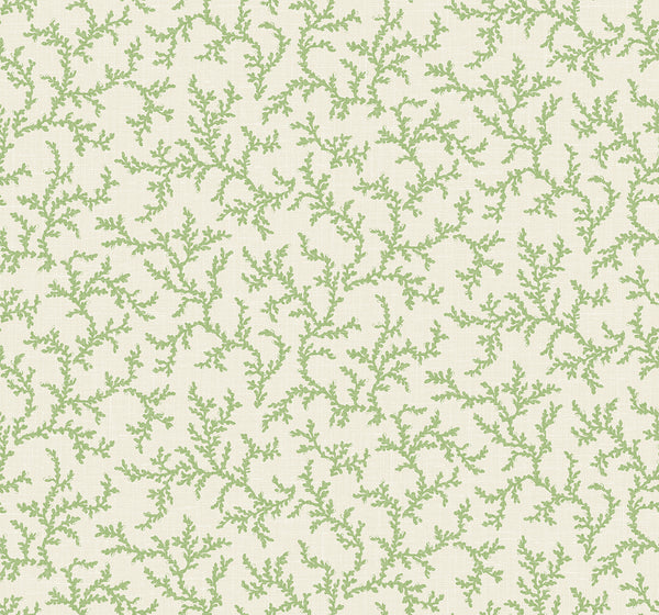 Corail Country Botanical - Herb | Architectural Wallcoverings