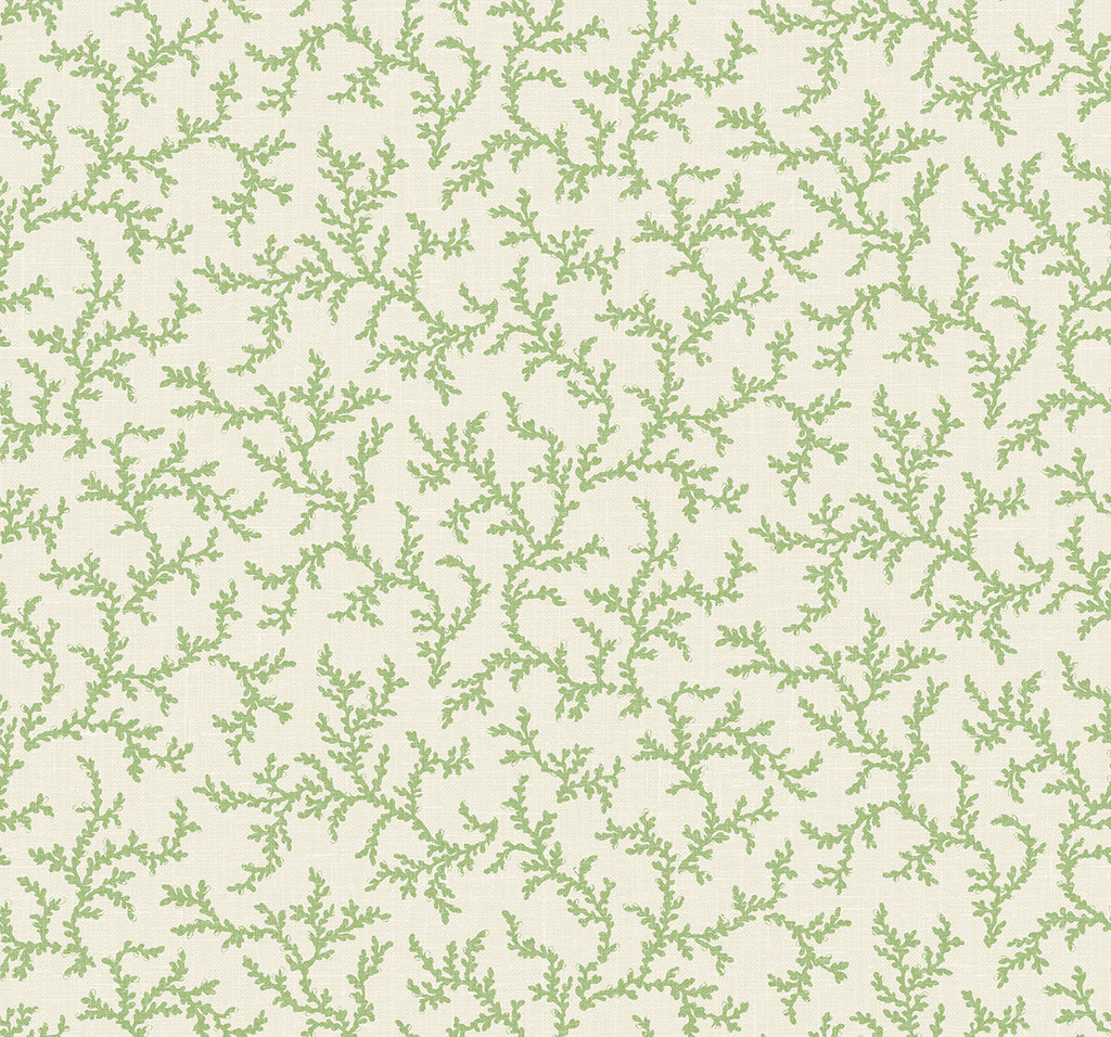 Malibu Corail Wallpaper - Country Botanical - Herb
