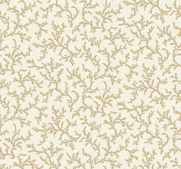 Corail Country Botanical - Driftwood | Architectural Wallcoverings