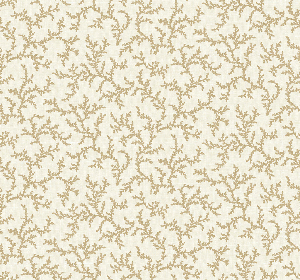 Malibu Corail Wallpaper - Country Botanical - Driftwood
