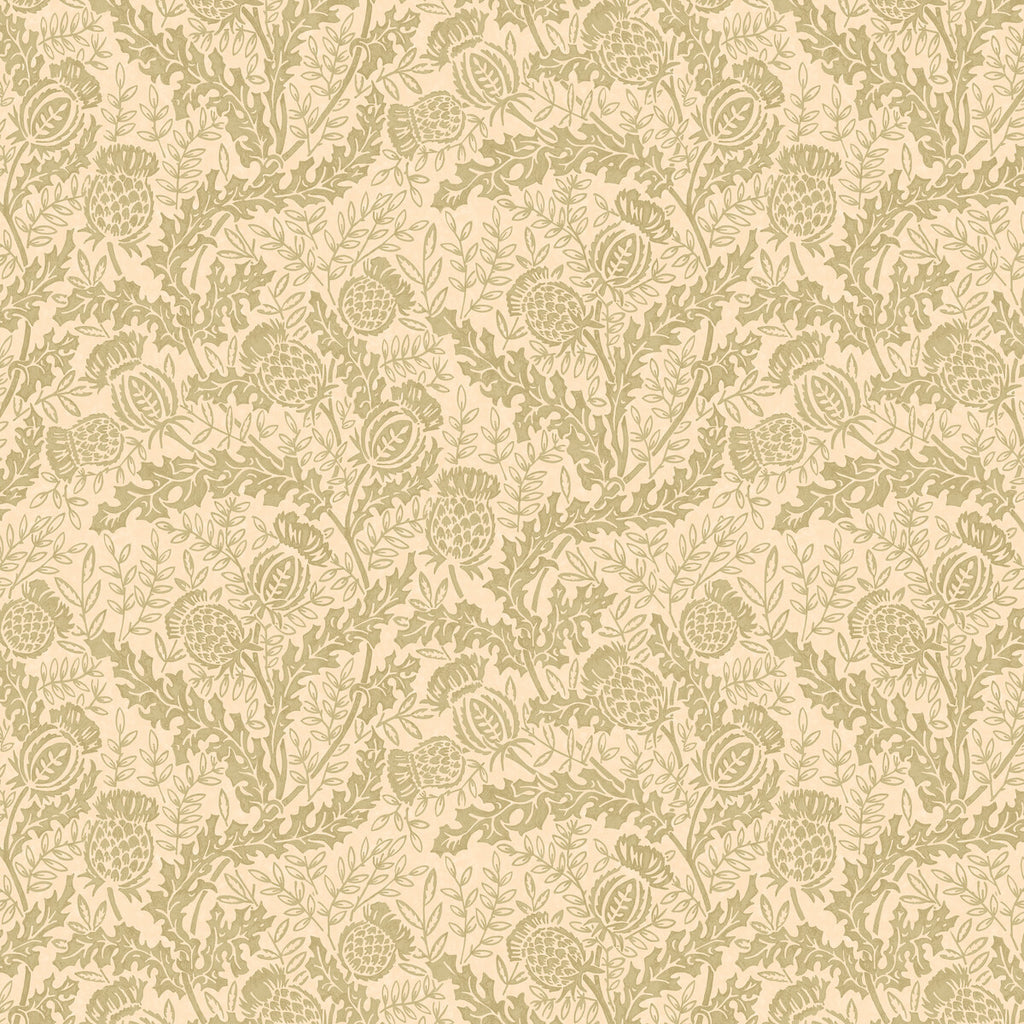 Mulberry Thistle - Lovat Green By Mulberry | Print Club Wallpaper |Botanical & Floral  Wallcovering