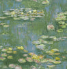 Malibu Lily Pads Wallpaper - Contemporary Botanical - Greenery, Denim, and Pink | Malibu Wallpaper