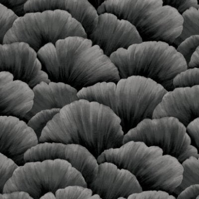 Fleur Ii Dramatique - Black Commercial Wallcovering | Koroseal