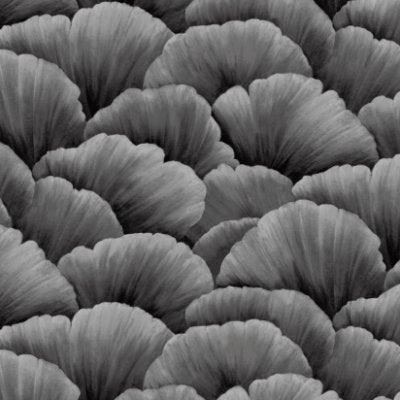 Fleur Ii Signature - Gray Commercial Wallcovering | Koroseal