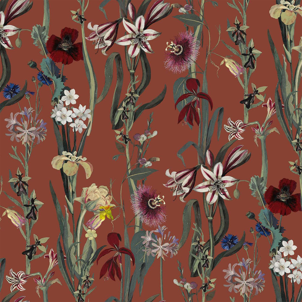 Flora Delanica Clay, Sample