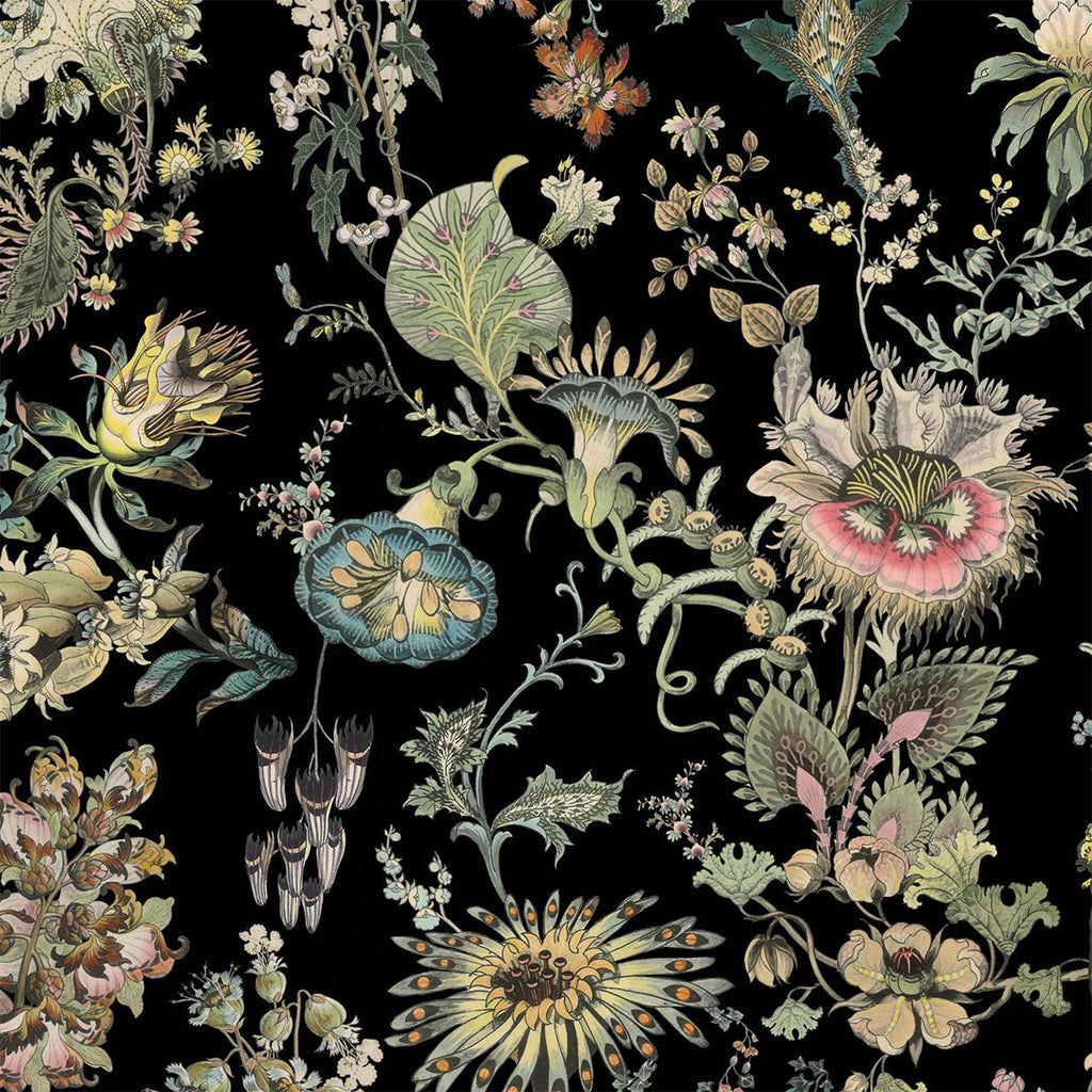 Flora Fantasia Noir, Sample