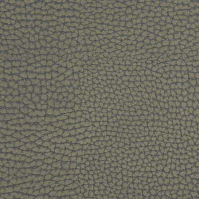 Samples and Purchasing available for Forgetful - Greystone Grey By Kravet Couture |  |Texture Animal Skins Upholstery Vinyl/Faux Leather at Designer Wallcoverings and Fabrics