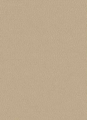 Samples and Purchasing available for Kravet Design - Fortune-16 Beige By Kravet Design |  |  Upholstery Vinyl/Faux Leather at Designer Wallcoverings and Fabrics