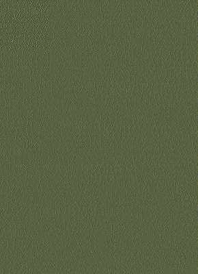 Samples and Purchasing available for Kravet Design - Fortune-30 Green By Kravet Design |  |  Upholstery Vinyl/Faux Leather at Designer Wallcoverings and Fabrics