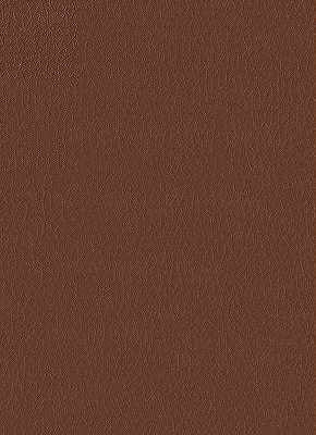 Samples and Purchasing available for Kravet Design - Fortune-6 Brown By Kravet Design |  |  Upholstery Vinyl/Faux Leather at Designer Wallcoverings and Fabrics